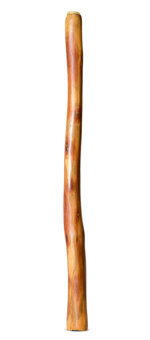 Medium Size Natural Finish Didgeridoo (TW1686)